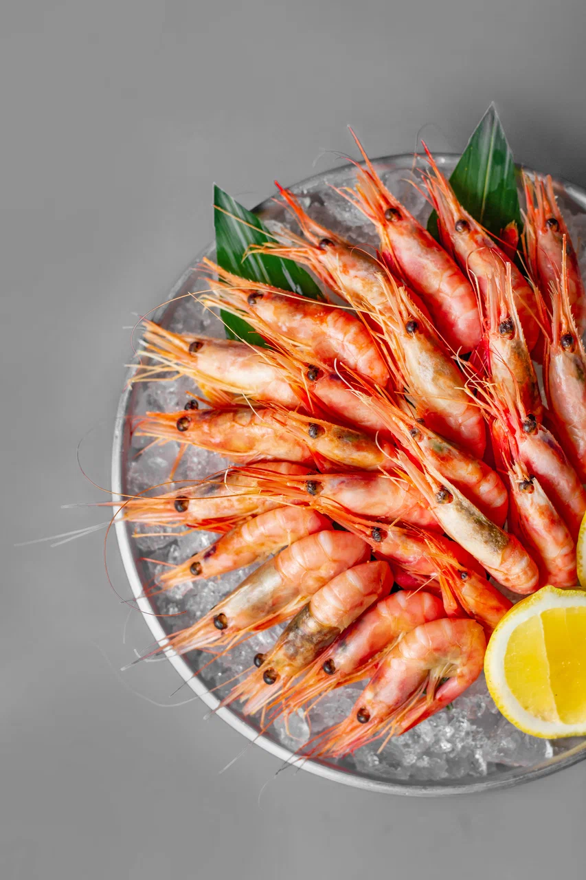 Dodici Seafood
